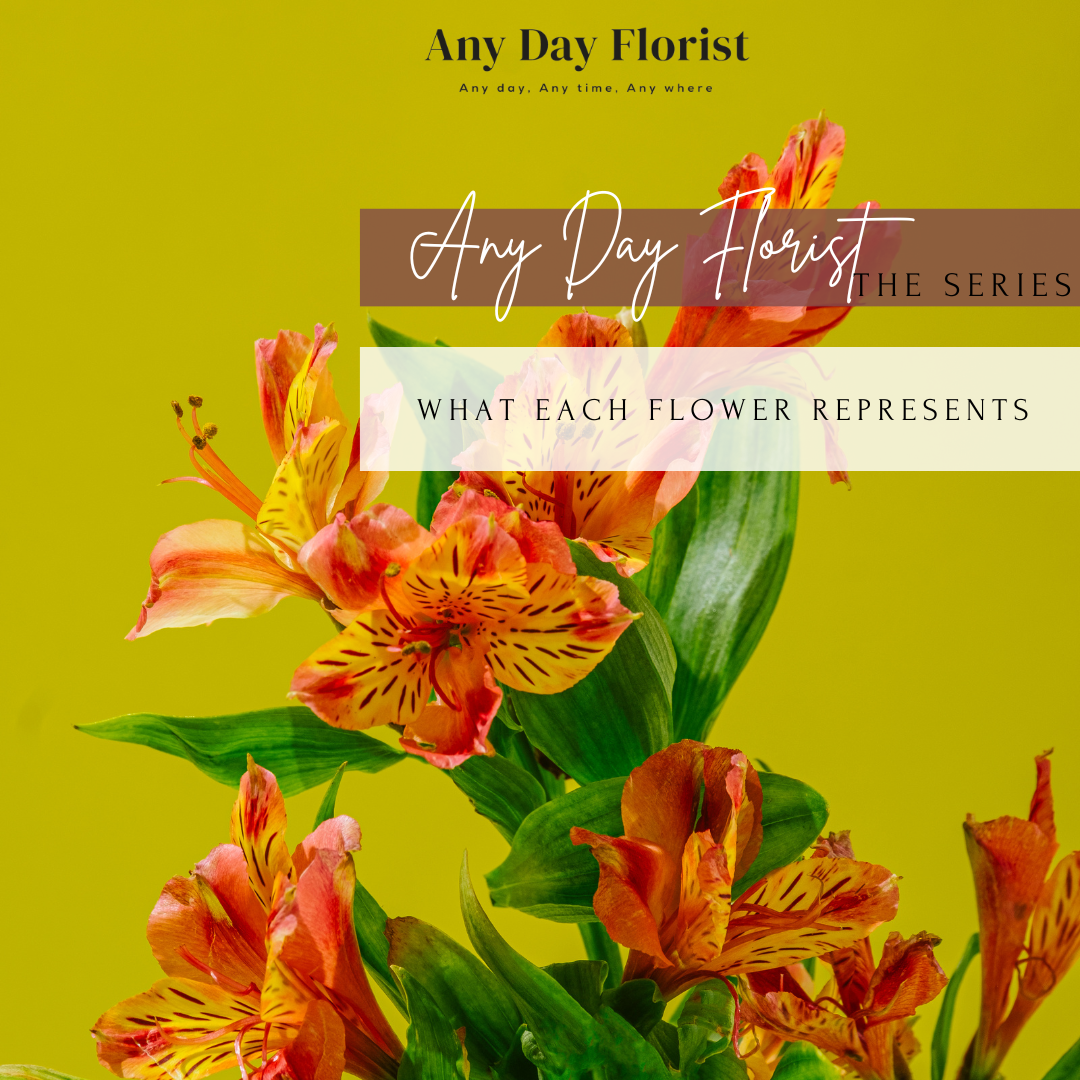 what-each-flower-represents-any-day-florist