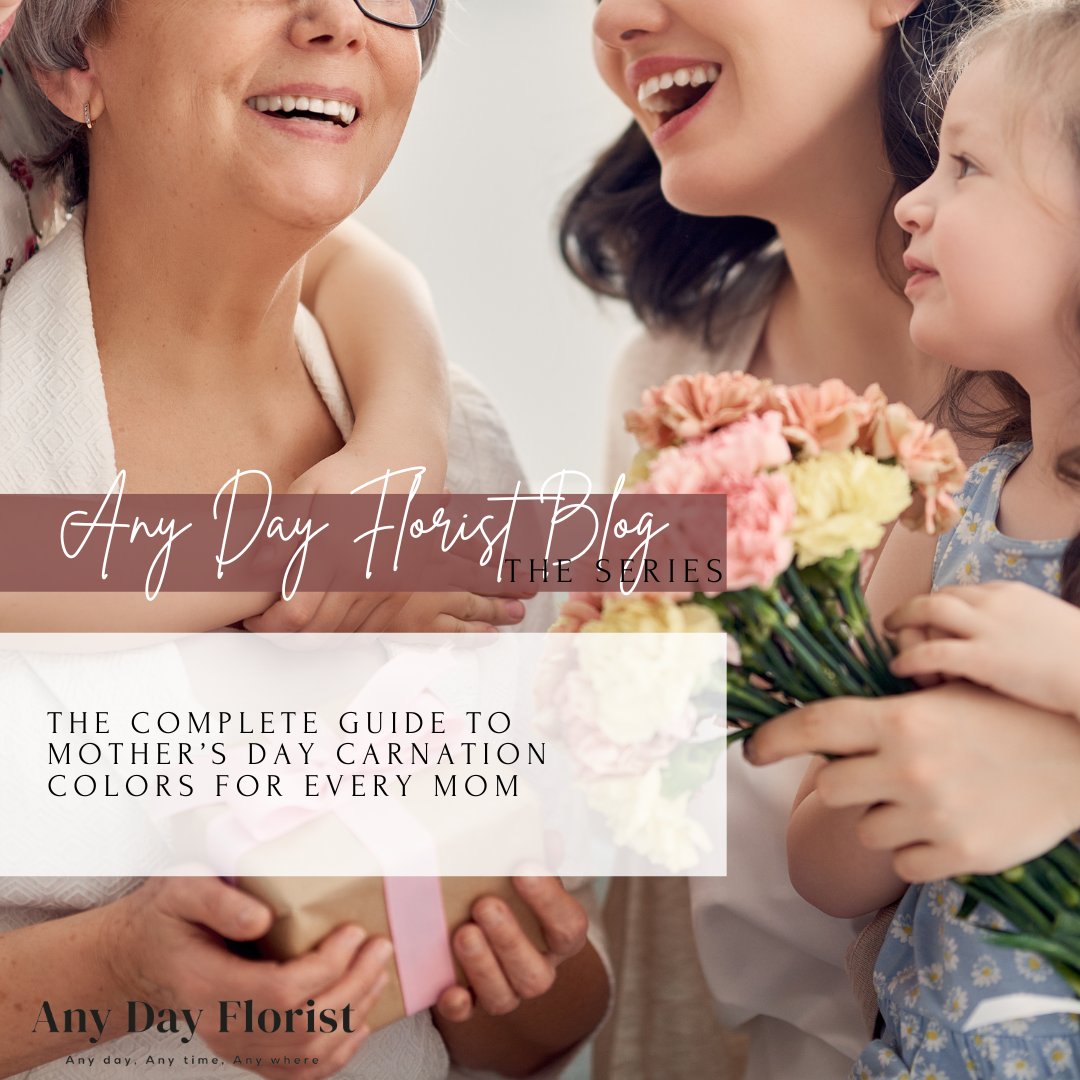 The Complete Guide to Mother’s Day Carnation Colors for Every Mom in 2024