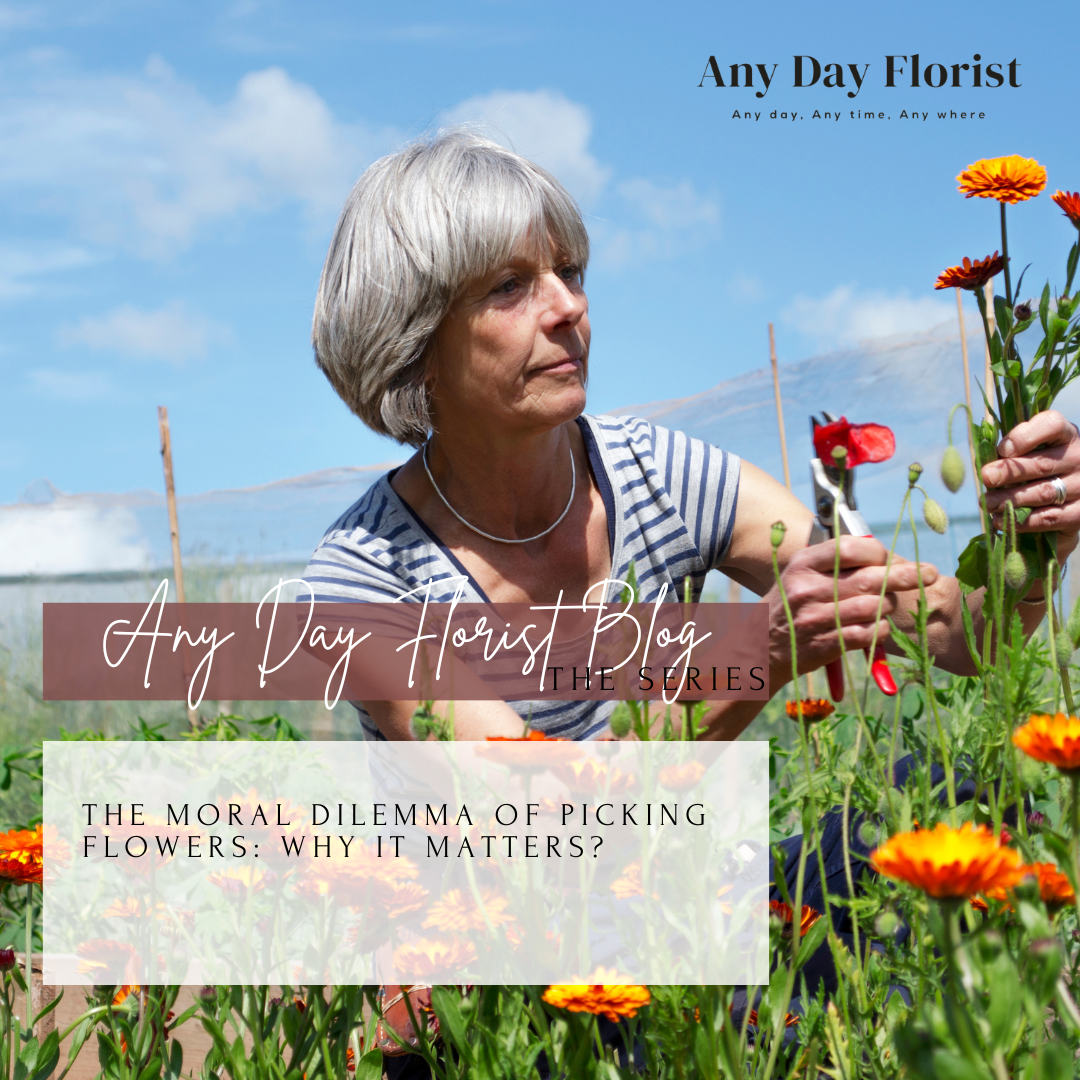 The Moral Dilemma of Picking Flowers: Why it Matters and How to Navigate the Issue