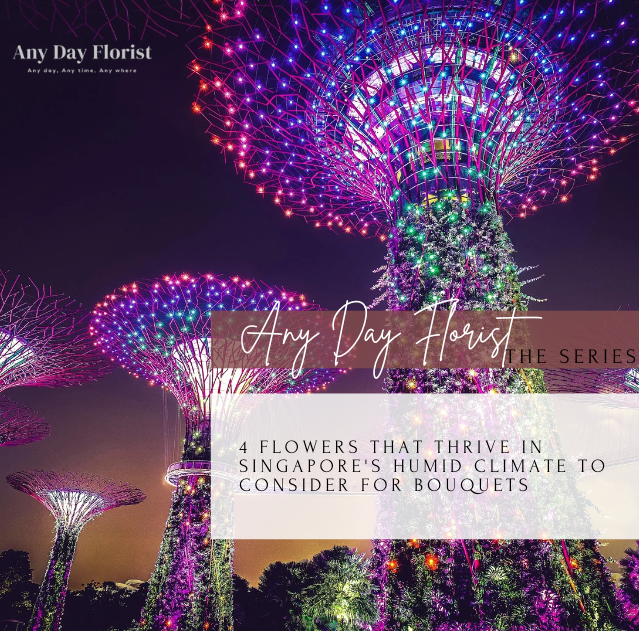 4 Flowers That Thrive In Singapore's Humid Climate To Consider For Bouquets
