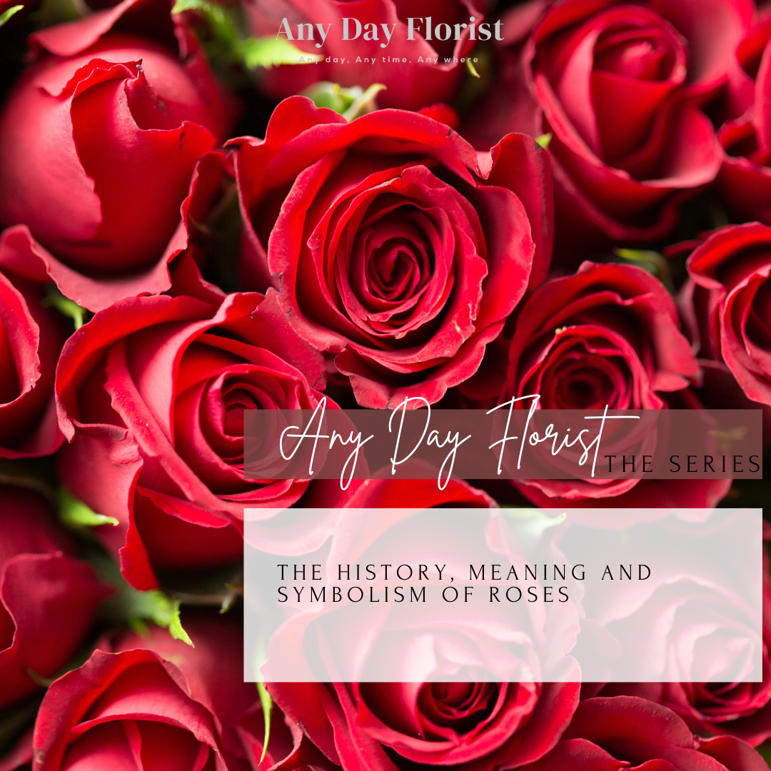 The History, Meaning, And Symbolism Of Roses – Any Day Florist