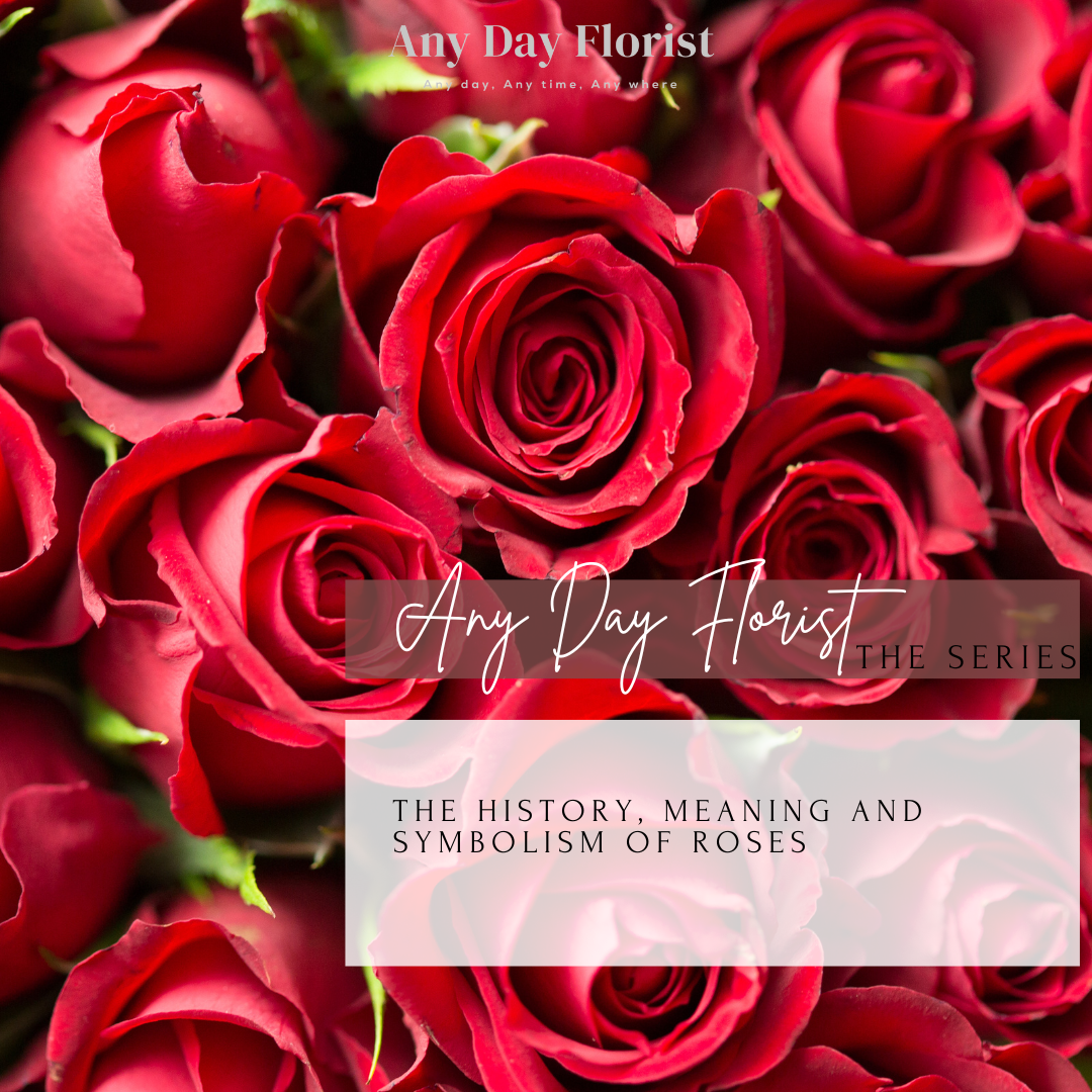 The History, Meaning, And Symbolism Of Roses