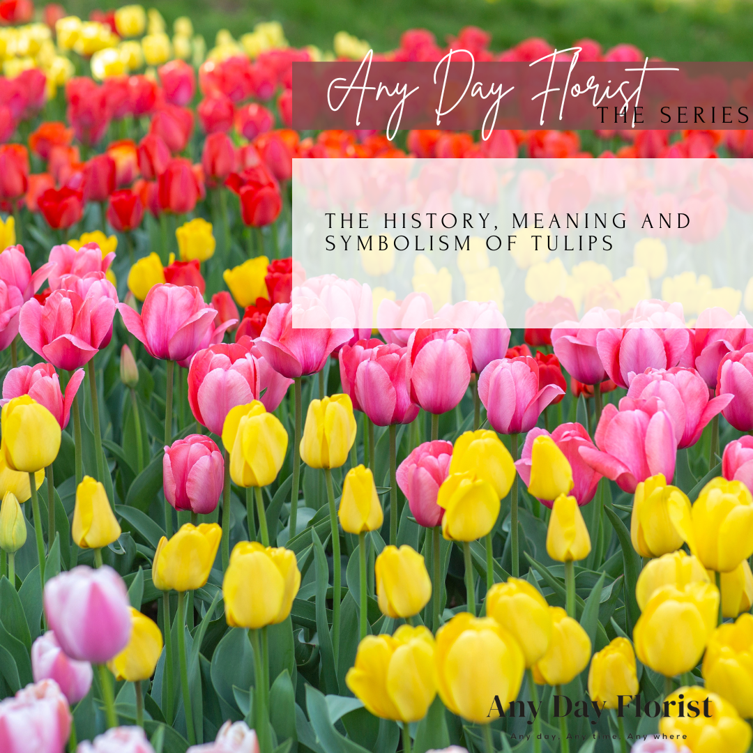  The 10 Facts About Tulips You Didn't Know