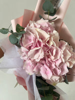 (MD) Pastel Pink Hydrangea Bouquet