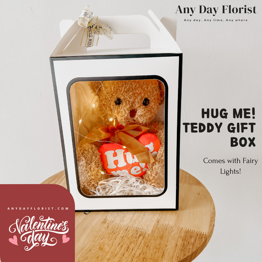 Teddy 'Hug Me' w/ Fairy Lights [Add On Only]