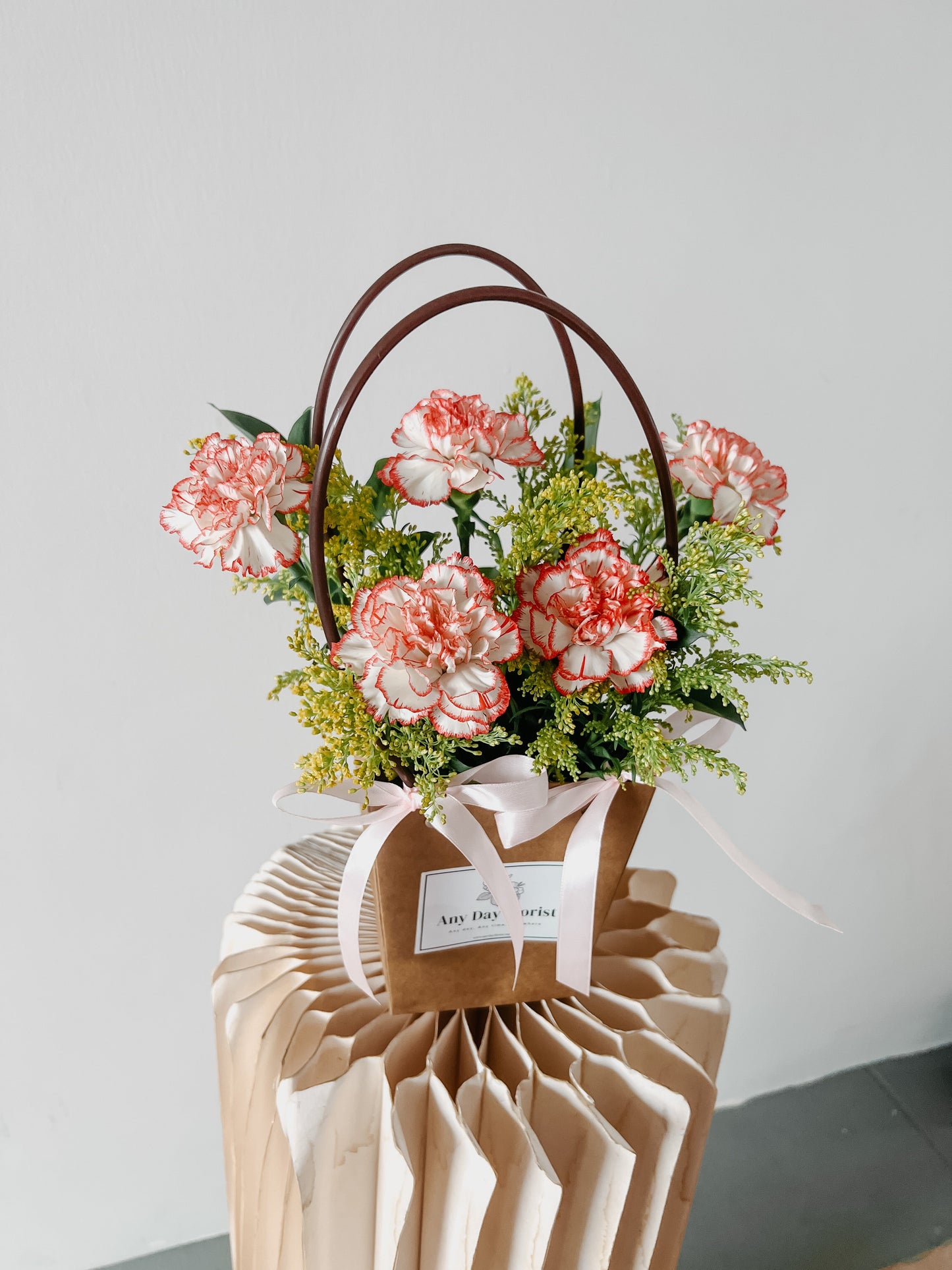 Any Day Florist
Keep your flowers fresh with a Carnation Solidago Bloom Bag!  This unique carnation solid ago bloom bag is perfect for any occasion. It is a great way to show off y[VD04] Carnation Solidago Bloom Bag