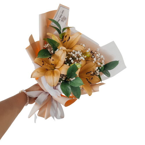 Any Day Florist
There is nothing that is more beautiful and spotless than a lily, and this beauty is eternal. There is more to the name lily than its beauty. It symbolizes purity aSalmon Lilies