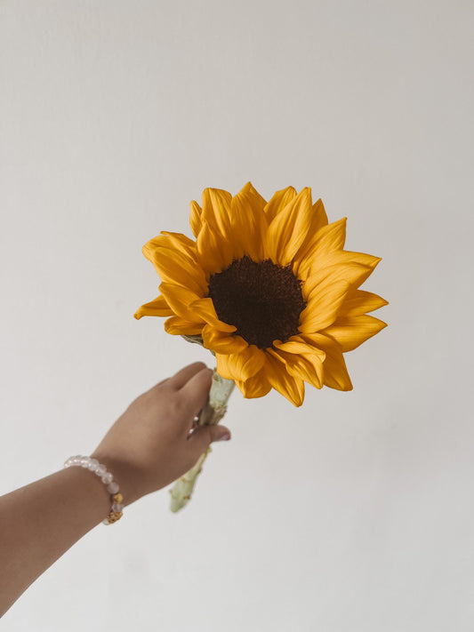 Sunflower (1stalk)